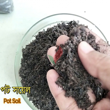 potting soil - পটিং সয়েল